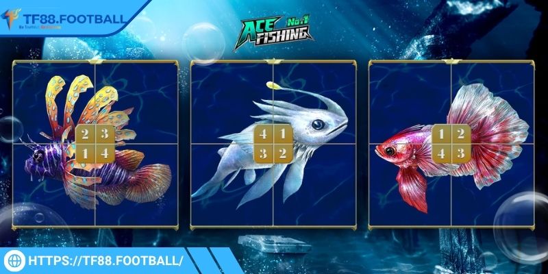Giới thiệu thông tin về ace fishing TF88