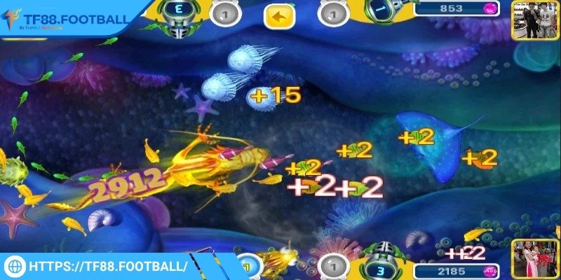 Chinh phục đại dương với búa kho báu bí mật