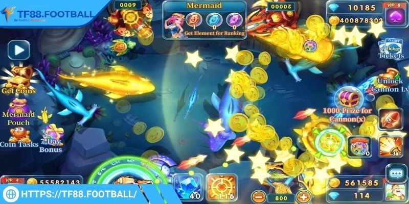 Theo dõi phần thưởng và lưu kết quả trên hệ thống