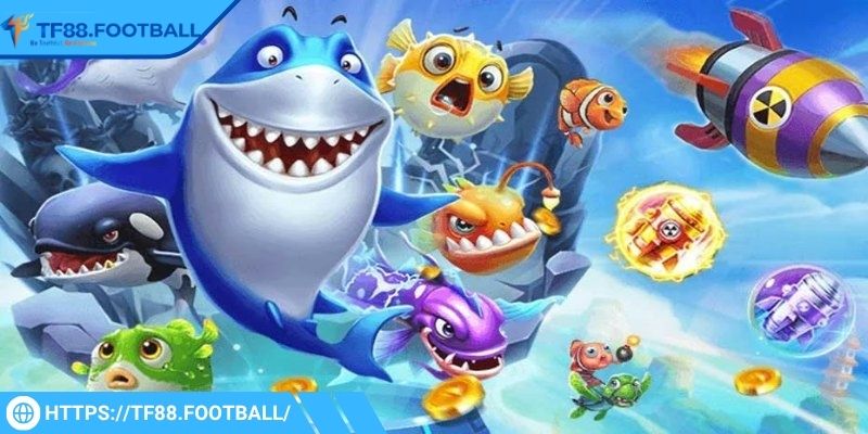 Trải nghiệm đại dương với Big Hammer TF88 