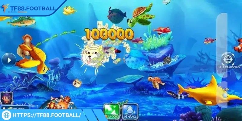 Người chơi ưu tiên dùng mồi đặc biệt