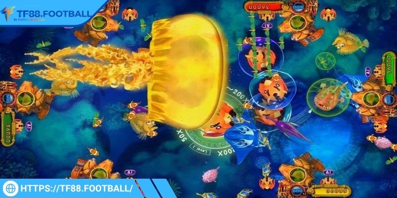 Luật của game săn cá Cat fishing