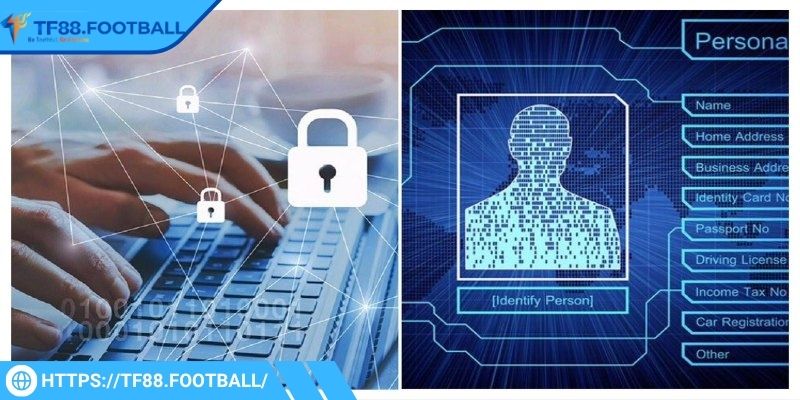 Người chơi cần đảm bảo cung cấp thông tin đúng