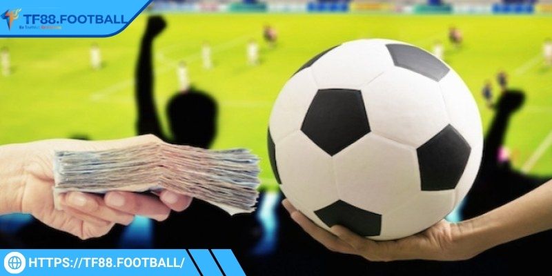 Bet thủ chọn thời điểm cá cược hợp lý