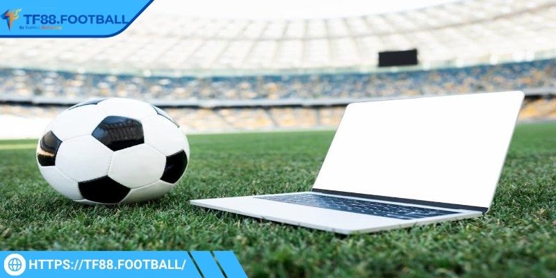 Tìm hiểu về kèo 1/2 TF88