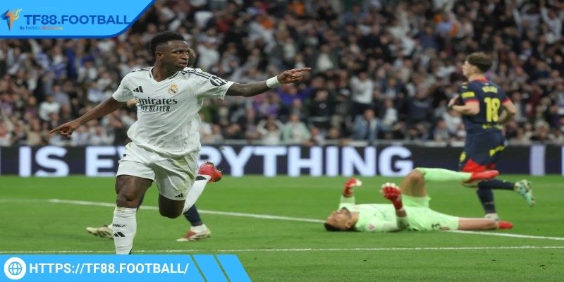 Bet thủ tham khảo nhận định từ chuyên gia khi cược