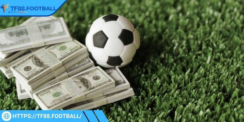 Cược thủ chọn thời điểm xuống tiền hợp lý