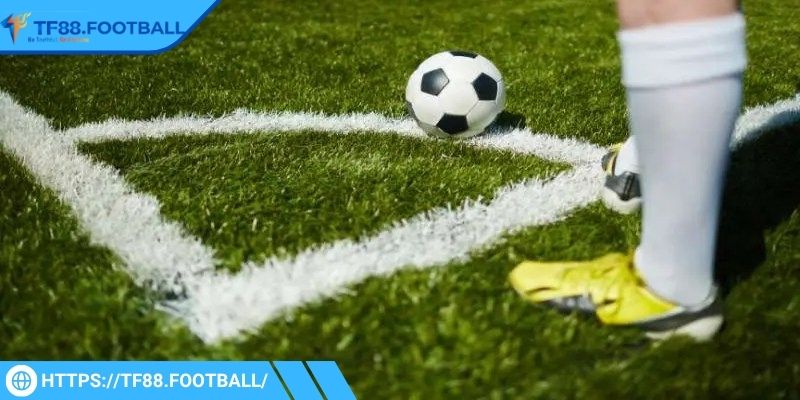 Người chơi nên quan sát kỹ về tình hình lực lượng