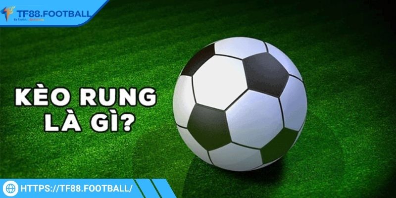 Một số thông tin liên quan đến kèo rung TF88