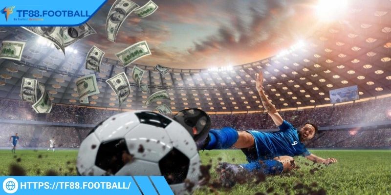 Thông tin cơ bản về kèo sớm TF88