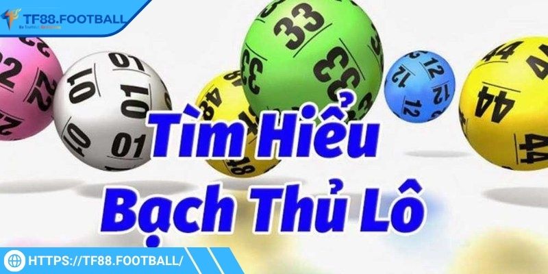 Tổng quan thông tin về lô bạch thủ TF88