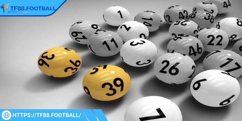 Chọn 2 đến 4 cặp ghép lại thành tổ hợp