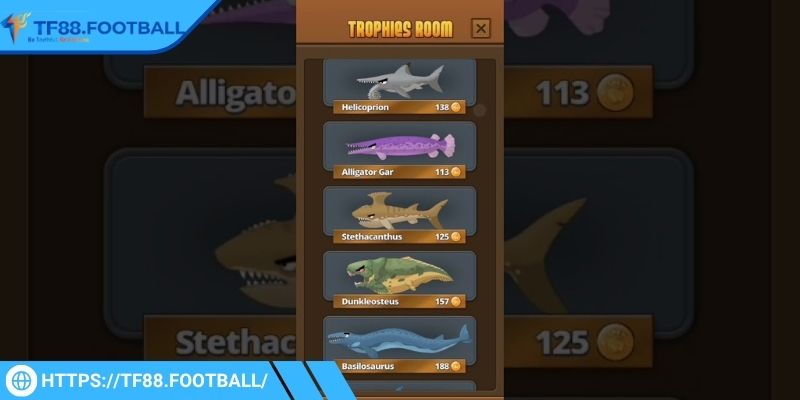 Người chơi không nên bỏ qua cá đặc biệt