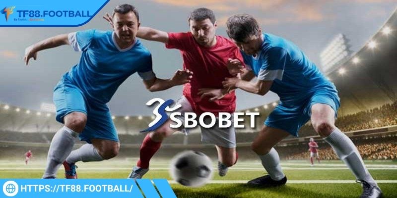 Sảnh SBO TF88 - Trải Nghiệm Thể Thao Tốc Độ Cao Không Giới Hạn 1 Thông tin tổng quan về sảnh SBO TF88