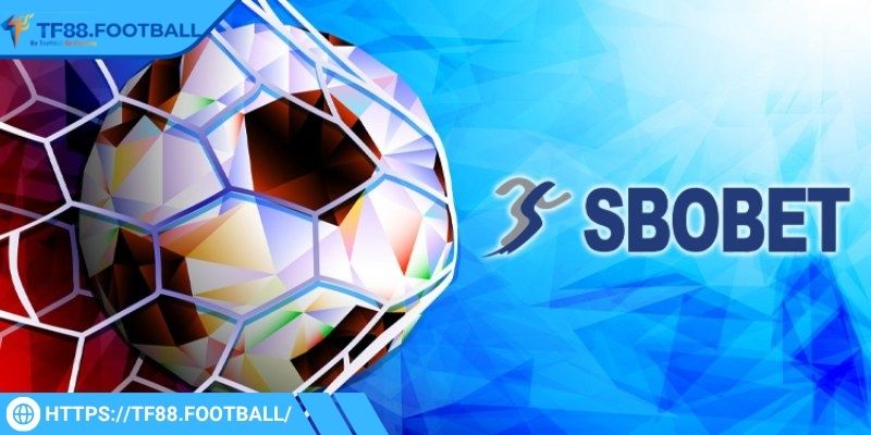 Sảnh SBO TF88 - Trải Nghiệm Thể Thao Tốc Độ Cao Không Giới Hạn 3 Giao diện sảnh SBO TF88 tích hợp tính năng thông minh